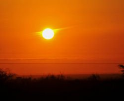 Provano a dimagrire fissando il sole