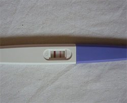 Vende test di gravidanza positivi per ripagarsi gli studi