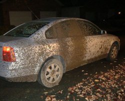 Auto troppo sporca causa un incidente