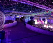 La casa con più luci di Natale al mondo