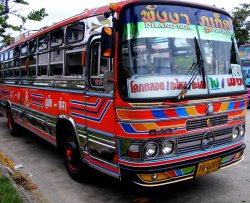 Pannolini per gli autisti degli autobus