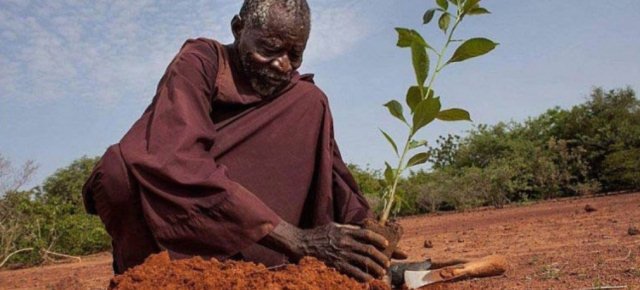 L'uomo che ha fermato il deserto