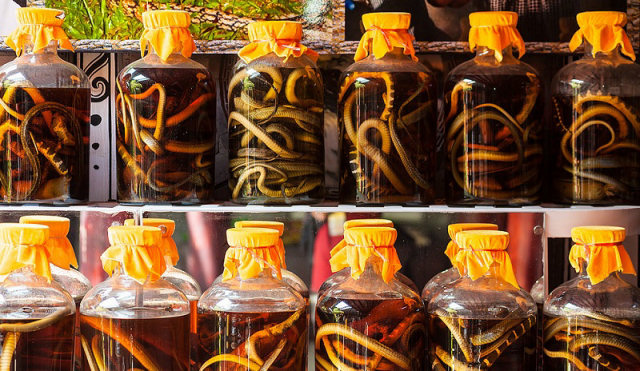Vino con serpente - Vietnam