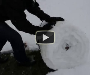 Sapevi che è possibile arrotolare la neve in questo modo?