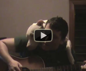 Cane ama la musica del padrone