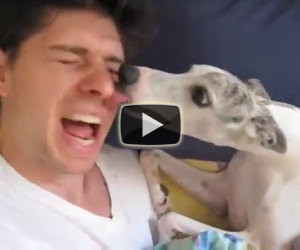 I padroni sono in vacanza, il dog-sitter invia loro questo video