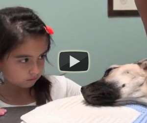 Ciò che hanno fatto a questo cane è assurdo, ecco come viene salvato