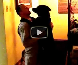 Cane vede il padrone dopo 6 mesi