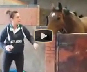 Cavallo inizia a ballare