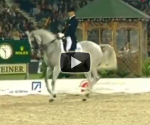 Un cavallo stupendo scende in pista e lascia tutti a bocca aperta