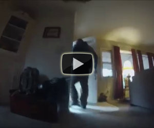 Cosa fa il cane quando il padrone va via