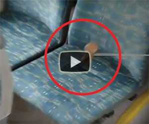 Batte con un martello il sedile del bus, ecco quello che viene fuori