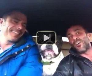 Due amici ed un cane cantano insieme