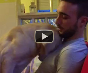Il modo in cui questo cane chiede scusa riscalda il cuore