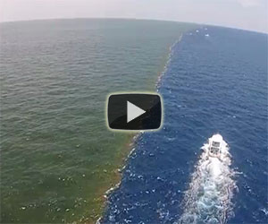 Il fiume ed il mare si incontrano, lo spettacolo è incredibile