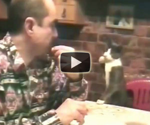 L'incredibile gatto che comunica a gesti con il suo padrone