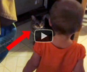 Il gatto discute con la sua piccola padroncina