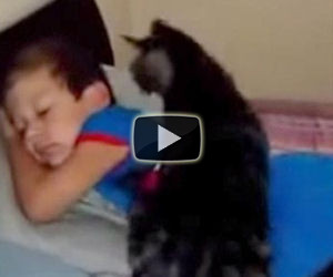 Torna dal campo estivo, ecco come lo accoglie il suo amico gatto