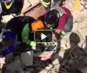 Un gatto viene salvato dopo 16 giorni sotto le macerie del terremoto