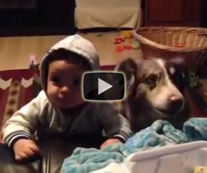 Dicono al bambino di chiamare la mamma, ecco cosa fa il cane
