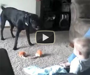 Il cane e questo bambino si divertono un mondo