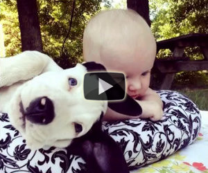Il primo anno insieme di un bambino ed un cane dolcissimo