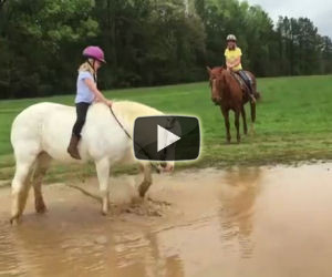 Il pony decide di giocare nel fango mentre una bambina lo cavalca