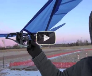 Incredibile uccello robot