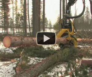 La macchina per tagliare gli alberi