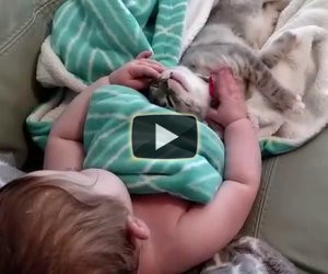 La mamma li riprende mentre dormono abbracciati, fantastici!