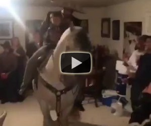 Party in casa con un cavallo