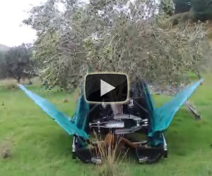 Il modo in cui questo macchinario raccoglie le olive è stupefacente