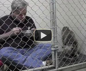 Si chiude nella gabbia con un pit bull malridotto, ecco perchè...