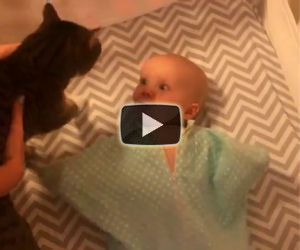 Entra nella stanza col gatto in braccio, ecco la reazione della bimba