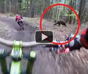 Due ciclisti si avventurano nel bosco e fanno un incontro inquietante
