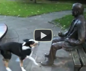 Cane vuol giocare con una statua