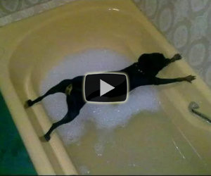 Cani che non vogliono fare il bagno