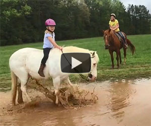 Il cavallo della bambina decide di giocare nel fango