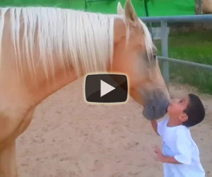Un cavallo si avvicina ad un bambino speciale. Un video emozionante!