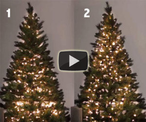 Ecco alcuni consigli utili per mettere le luci sull'albero di Natale