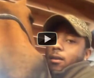 Un ragazzo bacia il suo cavallo, la reazione dell'animale è fantastica
