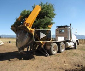 Una incredibile macchina che pianta gli alberi con grande facilità
