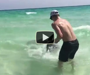 Trascina uno squalo a riva per salvarlo da una morte certa