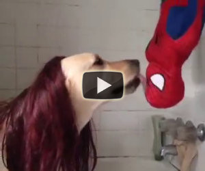 Come sarebbe la scena del bacio di Spiderman vista da un cane?