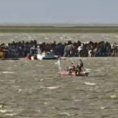 100 cavalli restano intrappolati su un'isola, ecco come li liberano