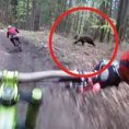 Due ciclisti si avventurano nel bosco e fanno un incontro inquietante