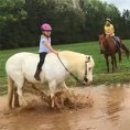 Il cavallo della bambina decide di giocare nel fango