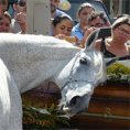 La straziante reazione del cavallo al funerale del proprio padrone