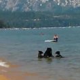 I bagnanti di questo lago assistono ad una scena incredibile