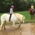 Il pony decide di giocare nel fango mentre una bambina lo cavalca